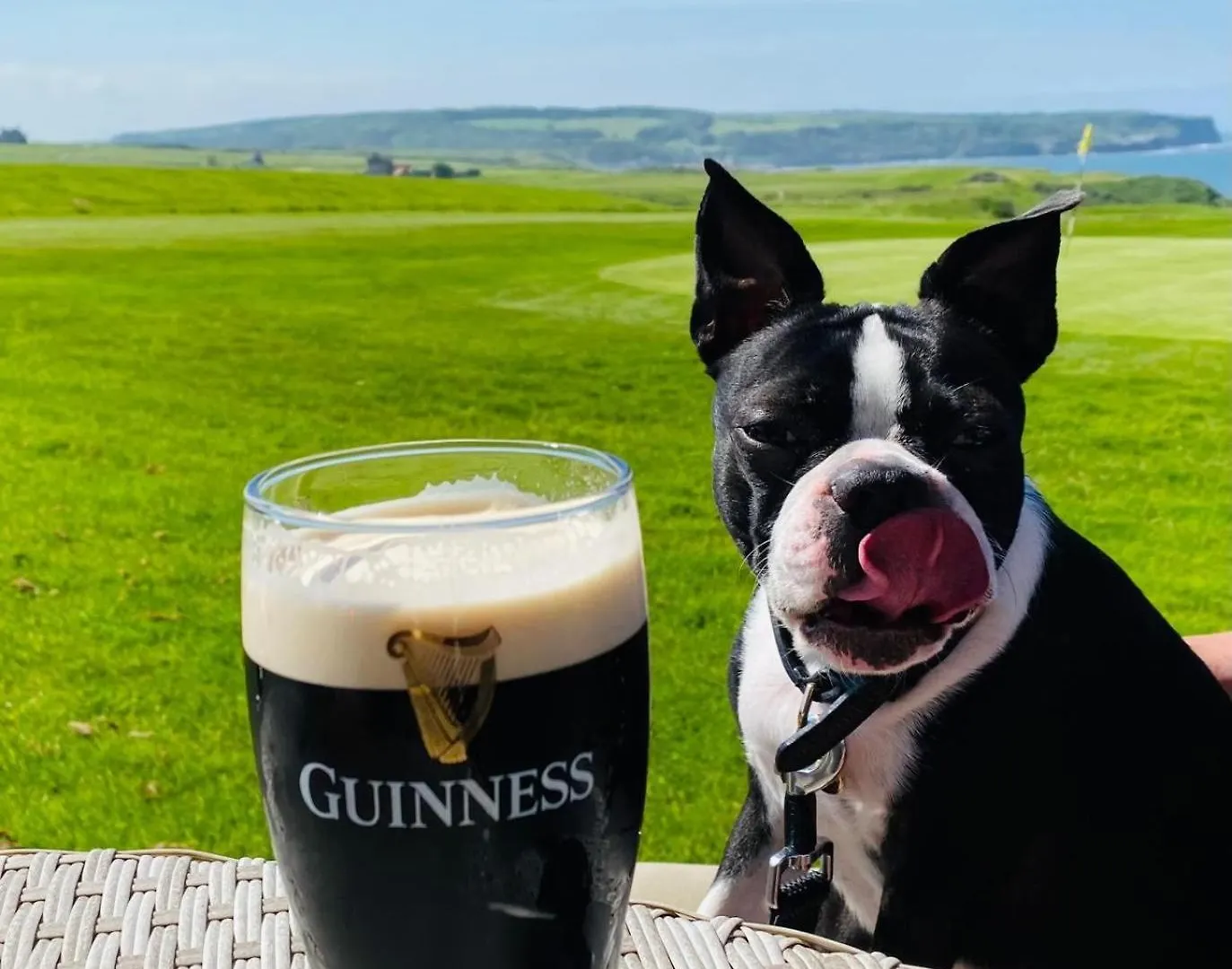 ****  The White House Inn - Whitby Velká Británie